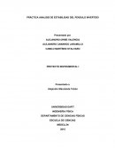 Análisis de estabilidad en péndulo invertido