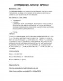 EXTRACCIÓN DEL ADN DE LA ESPINACA