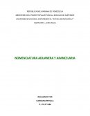 NOMENCLATURA ADUANERA Y ARANCELARIA ORIGEN Y EVOLUCION