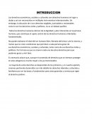 DERECHOS DE SEGUNGA GENERACION