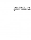 PROGRAMA NACIONAL DE SEGURIDAD PÚBLICA 2014-2018
