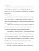 DESARROLLO Trabajo en Equipo