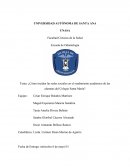 Como afectan las redes sociales en el rendimiento academico.