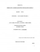 PRODUCCIÓN Y COMERCIALIZACIÓN DE TOSTADAS DOÑA PETRONA