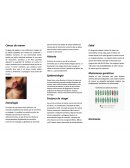 El cáncer de mama es una proliferación maligna de las células epiteliales