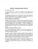 Grupos y organizaciones sociales