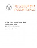 Reynosa de villa a ciudad...