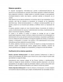 Sistema Operativo. El conjunto de programas informáticos