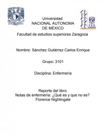 Notas de enfermería. Página 1