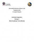 Actividad Integradora ¿Afecta el ejercicio a la frecuencia cardiaca?