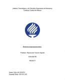 Datos trimestrales sobre el crecimiento del PIB en México