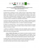 FORMATO DE MARCO TEORICO PREESCOLAR