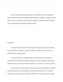 Los rasgos fisiológicos, endógenos y exógenos