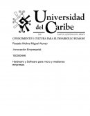 Ensayo sobre la Información de sistemas