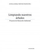 Limpiando nuestros árboles Proyecto de Educación Ambiental