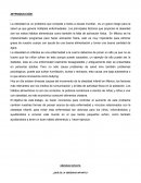 La obesidad es un problema que compete a todos a escala mundial