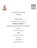 Garantías constitucionales del artículo 20 constitucional
