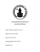 Observación de la práctica profesional en traumatología: Roles, relaciones y recursos en un consultorio