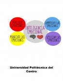 Portafolio de inteligencia emocional