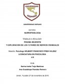 Exploracion de los 12 pares de nervios craneales