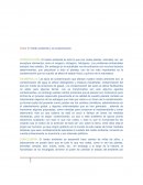 Tema: El medio ambiente y la contaminación