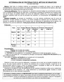 DETERMINACIÓN DE PROTEÍNAS POR EL MÉTODO DE BRADFORD.