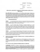 Apelacion laboral del nuevo codigo - caballococha.