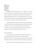 Alejandro Magno. Busto de Alejandro Magno