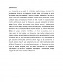 Los dinosaurios. Clasificación de los dinosaurios