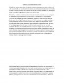 África del Sur (Descolonización)