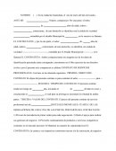 MINUTA DE CONTRATO DE SERVICIOS PROFESIONALES