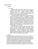 Analisis se busca uan princesa