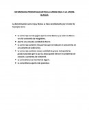 DIFERENCIAS PRINCIPALES ENTRE LA CARNE ROJA Y LA CARNE BLANCA
