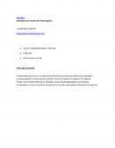 Resultados del examen de mecanografía