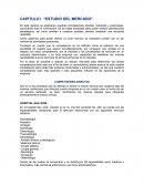 Resumen ejecutivo - Estudio de Mercado