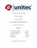 Formulario 1 Antecedentes y análisis de la situación