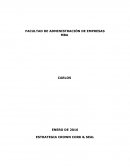 Hacer un análisis de la estrategia implementada por Crown Cork & Seal y definir nuevas alternativas de estrategia.
