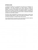 DIMENSIONES DE LA PLANEACIÓN EDUCATIVA