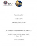 Actividad Integradora Mate 1