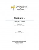 TOSHIBA Capítulo 1 Dirección y Control