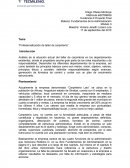 Profesionalización de taller de carpintería