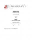 DEFINICIÓN DE VECTORES ¿Sabemos en qué aspectos de nuestras vidas están presentes?