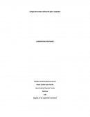 Laboratorio perfumes - Química