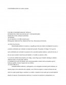 DIVISION DE CIENCIAS SOCIALES Y HUMANIDADES. DERECHO CIVIL (OBLIGACIONES)