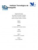 El oso carpintero y su empresa.