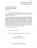 Contestación de demanda - Apuntes varios