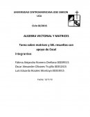 Algebra vectorial y matrices