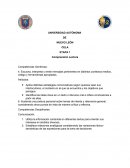Cela documento.