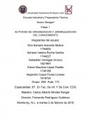 ACTIVIDAD DE ORGANIZACION Y JERARQUIZACION DEL CONOCIMIENTO.