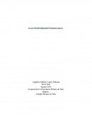 DEFINIR EL ÁREA PRIORITARIA DONDE AGREGA MÁS VALOR AL REALIZAR SU PLAN DE SERVICIO.